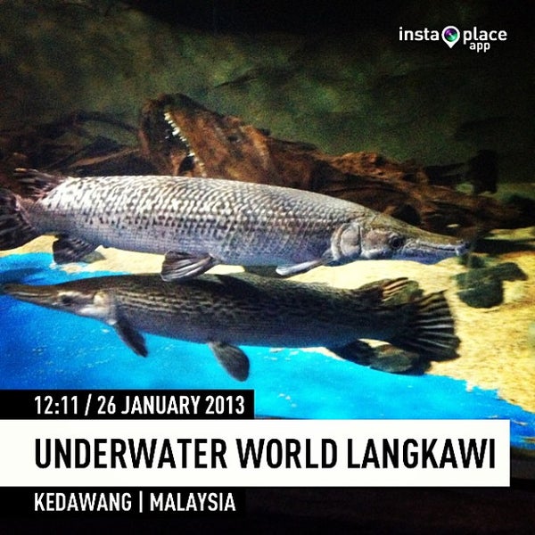 Photos at Underwater World Langkawi Aquarium
