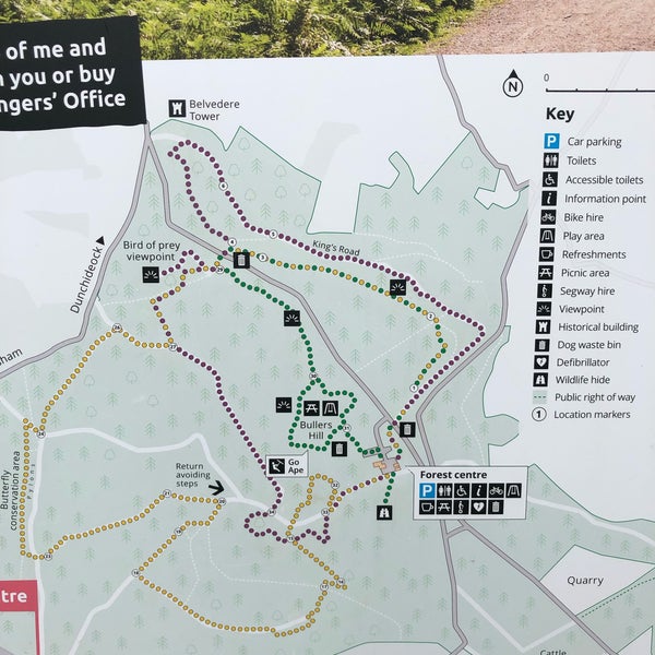 Haldon Forest Park Park