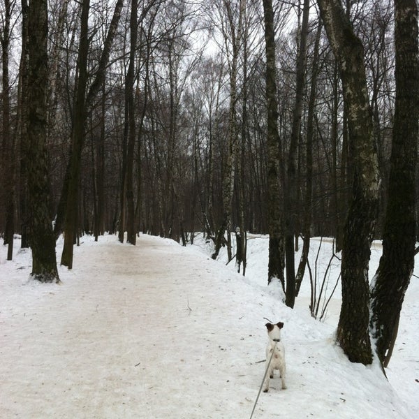 Вдоль оврага. Ст мстинский мост маловишерского района. Ст мстинский мост маловишерского района. Летняя природа. Растения для укрепления склона оврага.