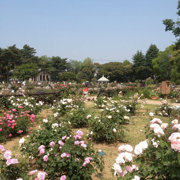 敷島公園ばら園 9 Tips 敷島公園ばら園 9 Tips
