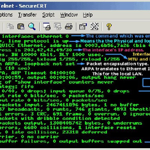 Show interface. Show interface