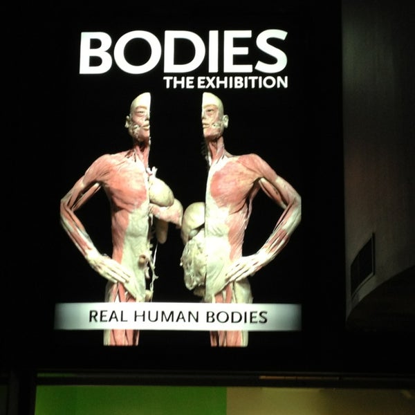 Photo taken at BODIES...The Exhibition by Yoko S. on 2/11/2013