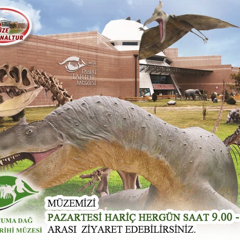 12/23/2017にMTA Şehit Cuma Dağ Tabiat Tarihi MüzesiがMTA Şehit Cuma Dağ Tabiat Tarihi Müzesiで撮った写真