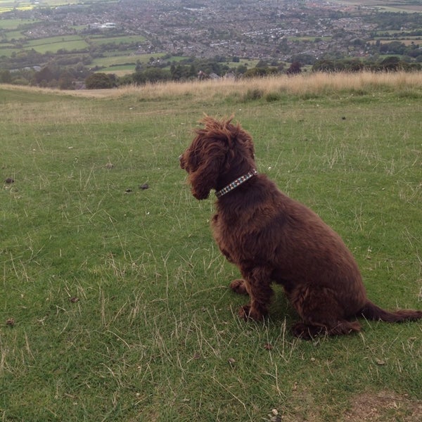 Photo taken at Cleeve Hill by Helen F. on 9/12/2014