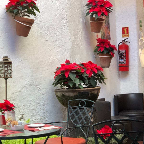 Photo taken at La Pause Coyoacan by Alberto C. on 12/1/2019