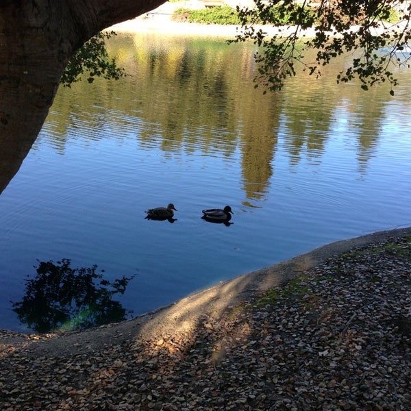 Photos at Sharon Park Sharon Height Menlo Park, CA