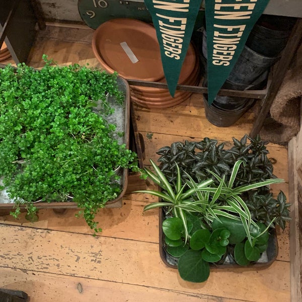 Green Fingers Market (Now Closed) Flower Store in New York