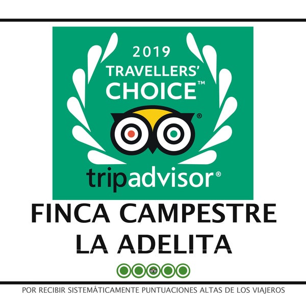 Travellers Choice 2019....