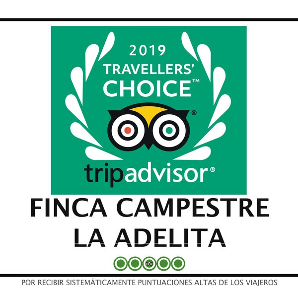 Travellers Choice 2019...