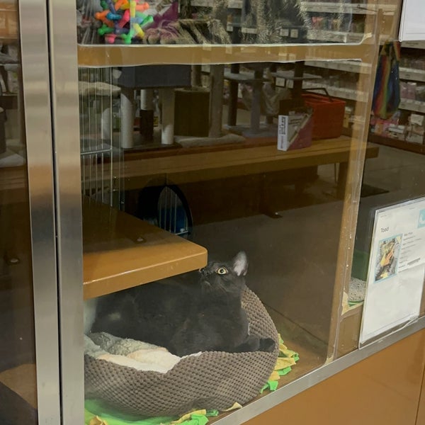 Pet food hotsell express almaden