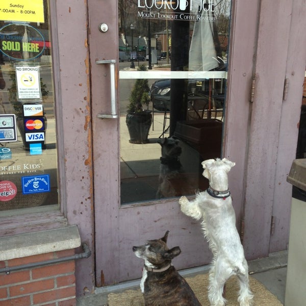 Photos at Lookout Joe Mt Lookout Coffee Roasters Coffee Shop in
