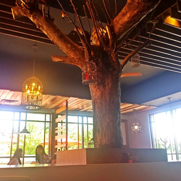 Photos at Green Grotto Tea Room 綠的小窩 Tea Room in Markham