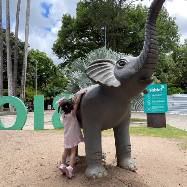 Parque Zoobotânico Arruda Câmara (Bica) - Zoo in João Pessoa