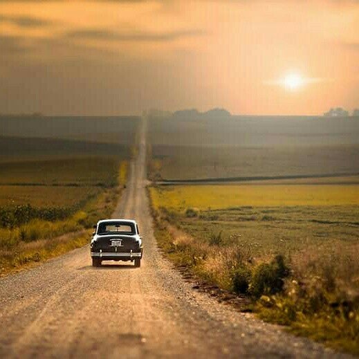 Elvan Çikolata ve Şekerleme Gıda San. A. Ş Tevfikbey 886