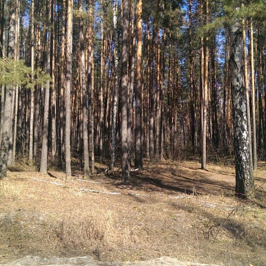 Кожевенный кордон