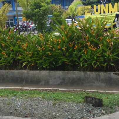 Foto tirada no(a) Fakultas Ekonomi Universitas Mulawarman por Stevanie E. em 2/6/2013