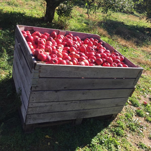 VerHage Fruit Farm & Cider Mill Farm in Kalamazoo