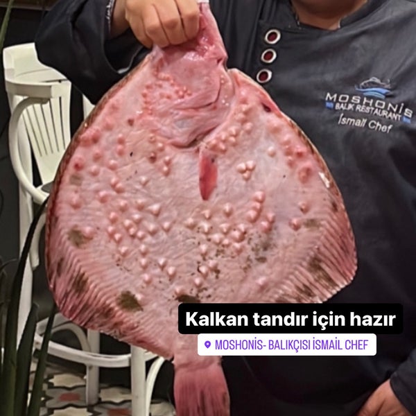 Das Foto wurde bei Moshonis Balıkçısı İsmail Chef von MOSHONİS BALIKCISI CHEF İ. am 1/3/2024 aufgenommen