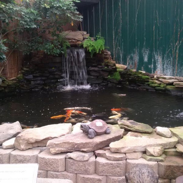 Photos At Atlanta Water Gardens Lindridge Martin Manor 2165