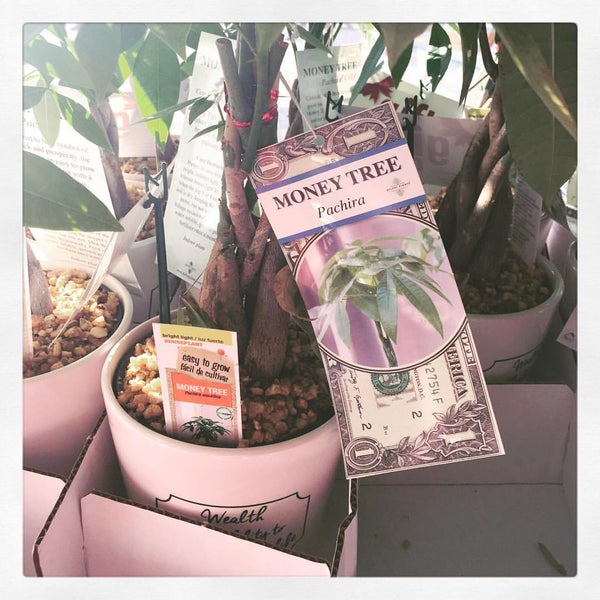 The Home Depot Powder Springs, GA