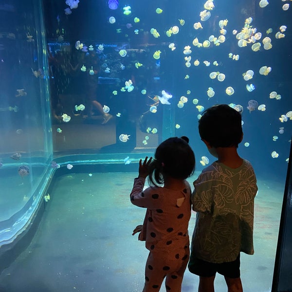 8/26/2022にKEPRCがVancouver Aquariumで撮った写真