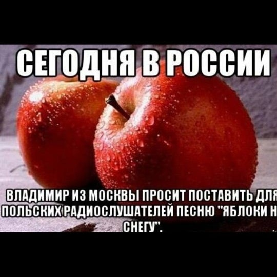 Яблоко елка и айова. Кто исполняет песню яблоко. Кто исполняет песню яблоко. Песни про яблоки. Кто исполняет песню яблоко.