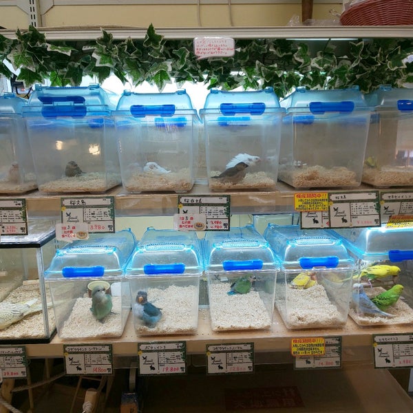 コーナン 高槻城西店 Furniture Home Store コーナン 高槻城西店 Furniture Home Store