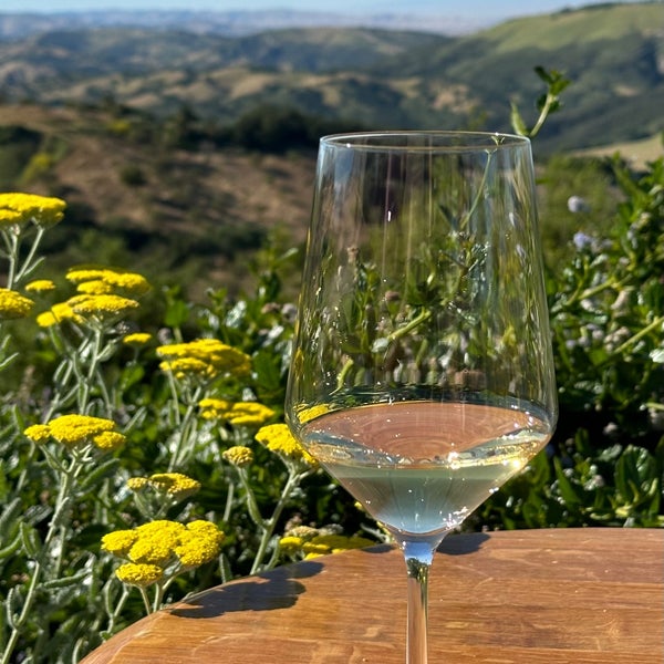 Photo taken at Daou Vineyards by Fernando A. on 5/12/2024