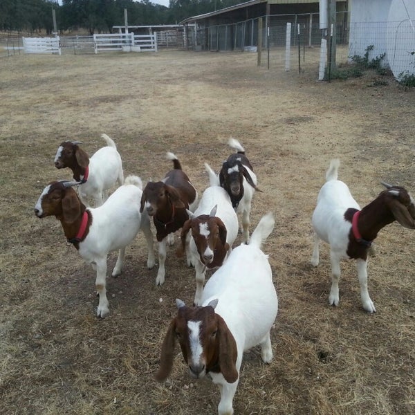 The Feed Barn Country Store Jackson, CA
