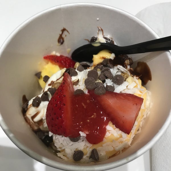 Yogurtology Frozen Yogurt Shop