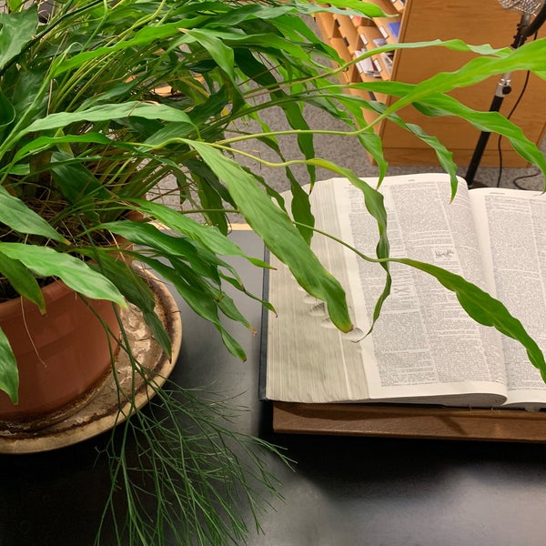 NCSU Harrye B. Lyons Design Library 1 tip from 35 visitors