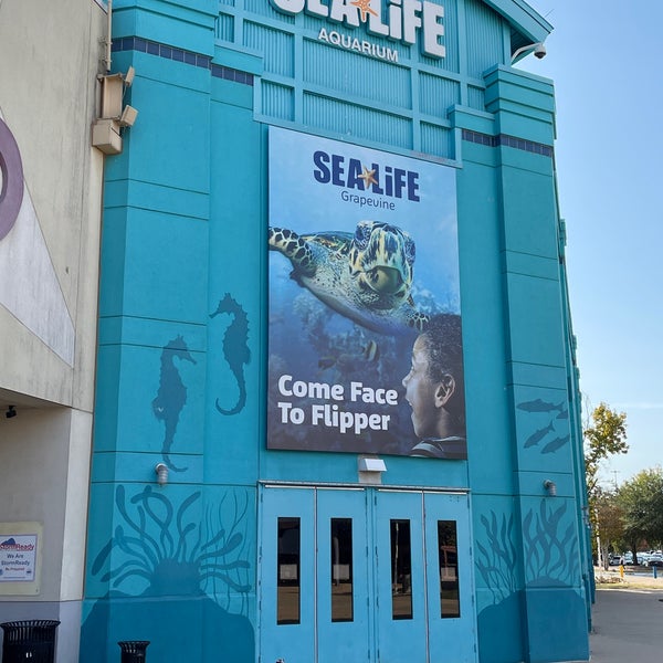 Photo taken at SEA LIFE Grapevine Aquarium by Dan V. on 12/3/2022
