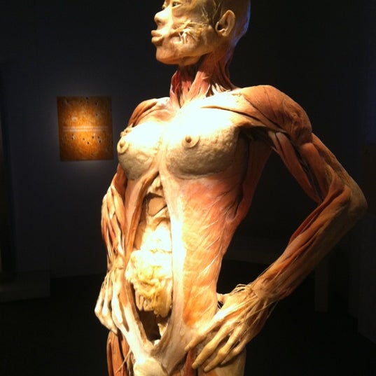 Photo taken at BODIES...The Exhibition by Fateh S. on 4/8/2012