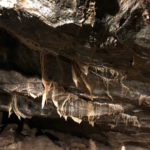 Photo prise au Cheddar Gorge &amp; Caves par Colin C. le4/12/2022