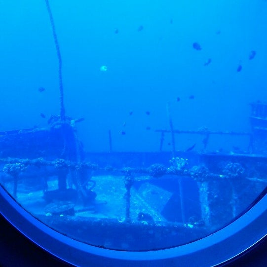 Photo taken at Atlantis Submarines Maui by Dayni P. on 9/29/2013