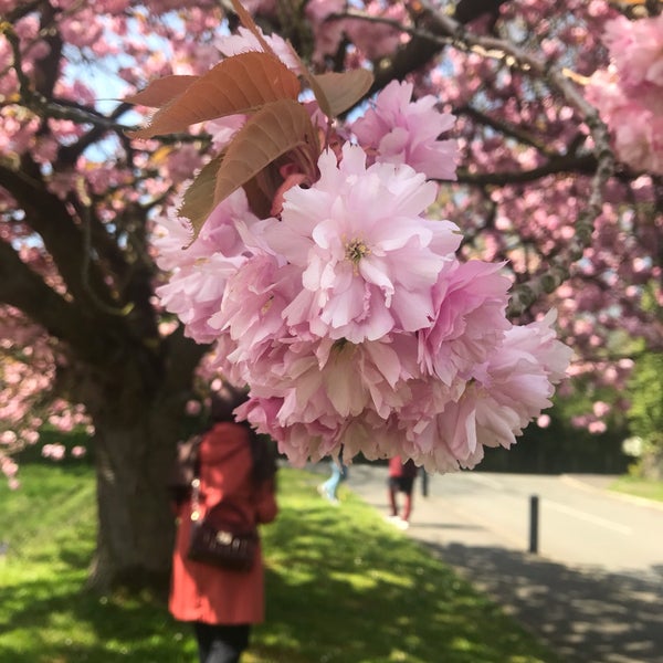 Photo taken at Winterbourne House &amp; Garden by Fatma Ş. on 4/19/2019