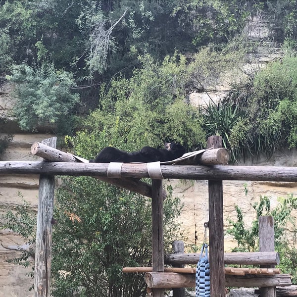 Photo taken at San Antonio Zoo by Mark M. on 10/17/2020