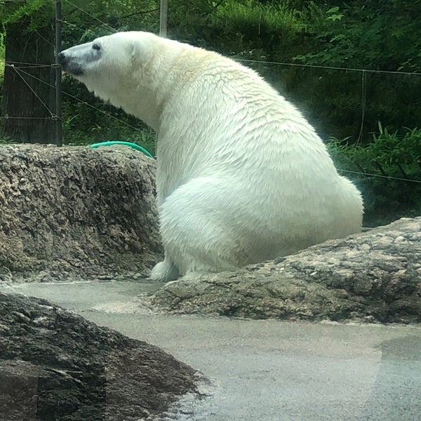 とくしま動物園 寒帯区 27 Visitors