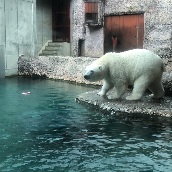 とくしま動物園 寒帯区 27 Visitors