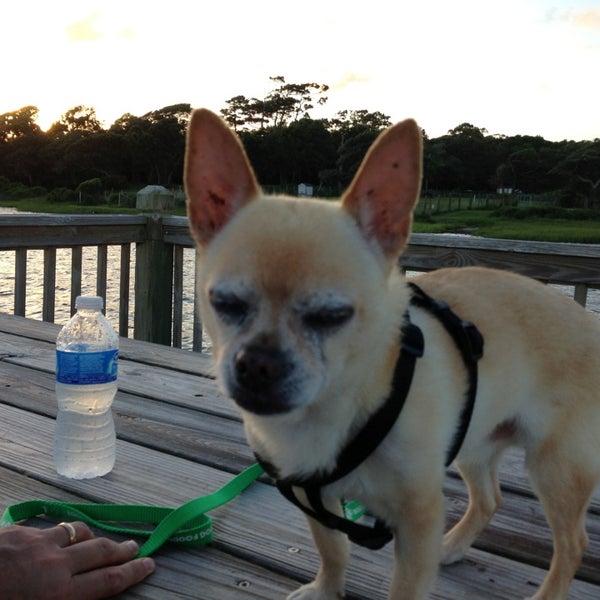 Water's Edge RV Park Campground in Newport