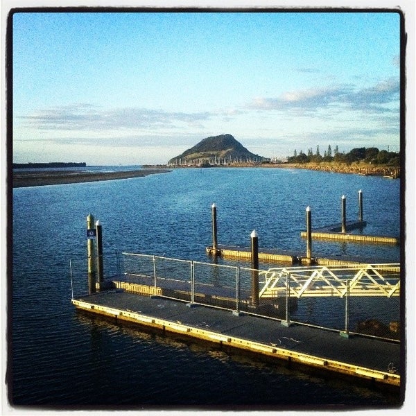Nautilus Café in Tauranga