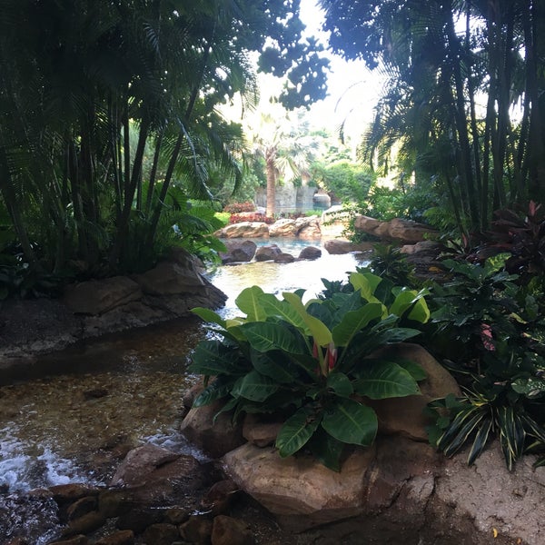 Photo taken at Discovery Cove by Aleyda B. on 8/20/2019