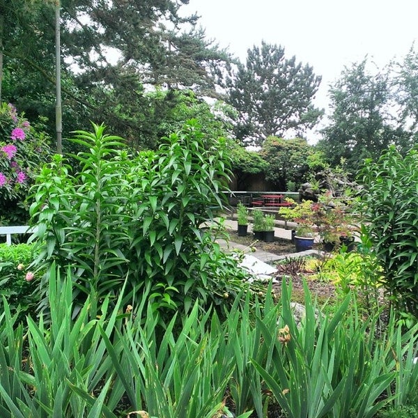 Lighthouse for the Blind Office in Seattle