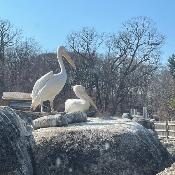 Foto diambil di Maryland Zoo in Baltimore oleh Matt C. pada 3/5/2022