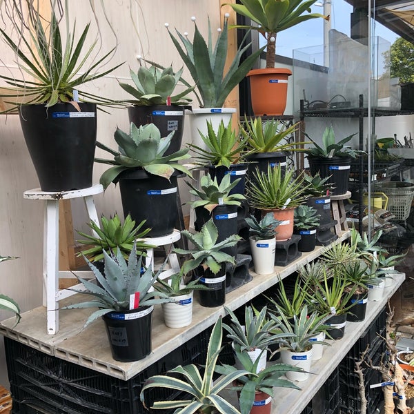 Photos At 陽春園 宝塚市 兵庫県