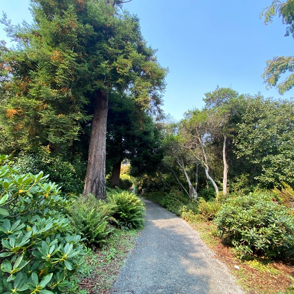 Photo taken at Mendocino Coast Botanical Gardens by Leonardo Tiberius ⛵ on 8/29/2020