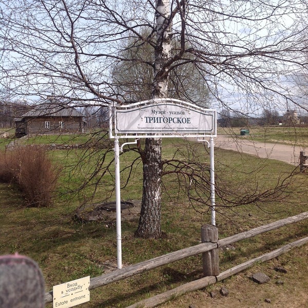 Прости 7 тригорское 8 где радость. Ооо тригорское. станция тригорская.
