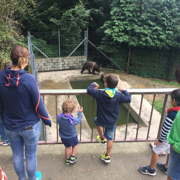 Photos à Parc Animalier de Bouillon Zoo à Bouillon