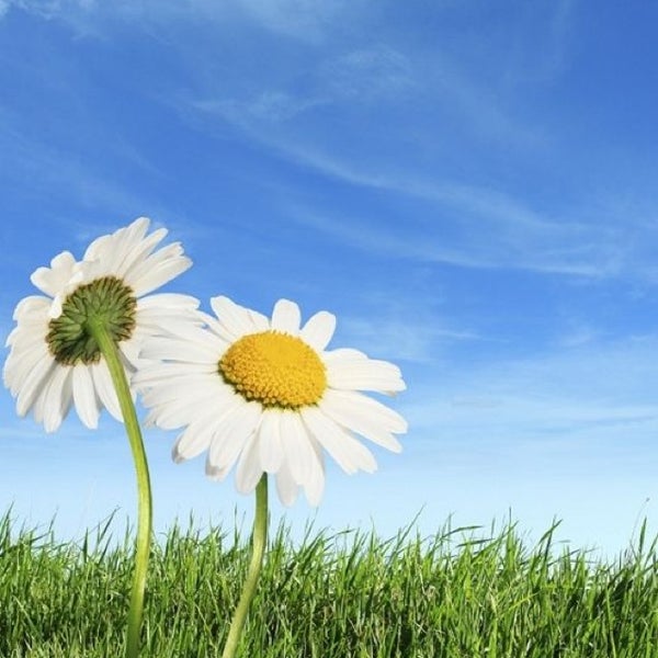 Enjoy the happy. Enjoy the happy. Enjoy the happy. Enjoy the happy. Happy monday игра.