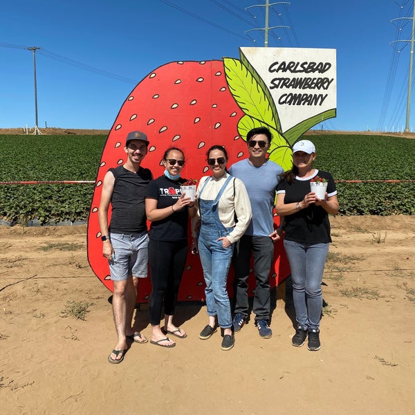 Photo taken at U-Pick Carlsbad Strawberry Co. by Max M. on 6/13/2020